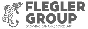 Flegler Group Pty Ltd